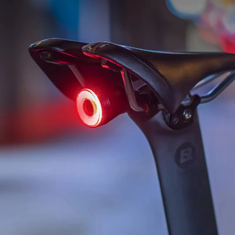 ROCKBROS Local Shipping Q50 Bicycle Light IPx6  Auto Brake Sensing Smart Rear Light USB Charging Taillight Cycling Q5 Flashlight