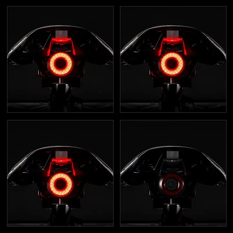 ROCKBROS Local Shipping Q50 Bicycle Light IPx6  Auto Brake Sensing Smart Rear Light USB Charging Taillight Cycling Q5 Flashlight